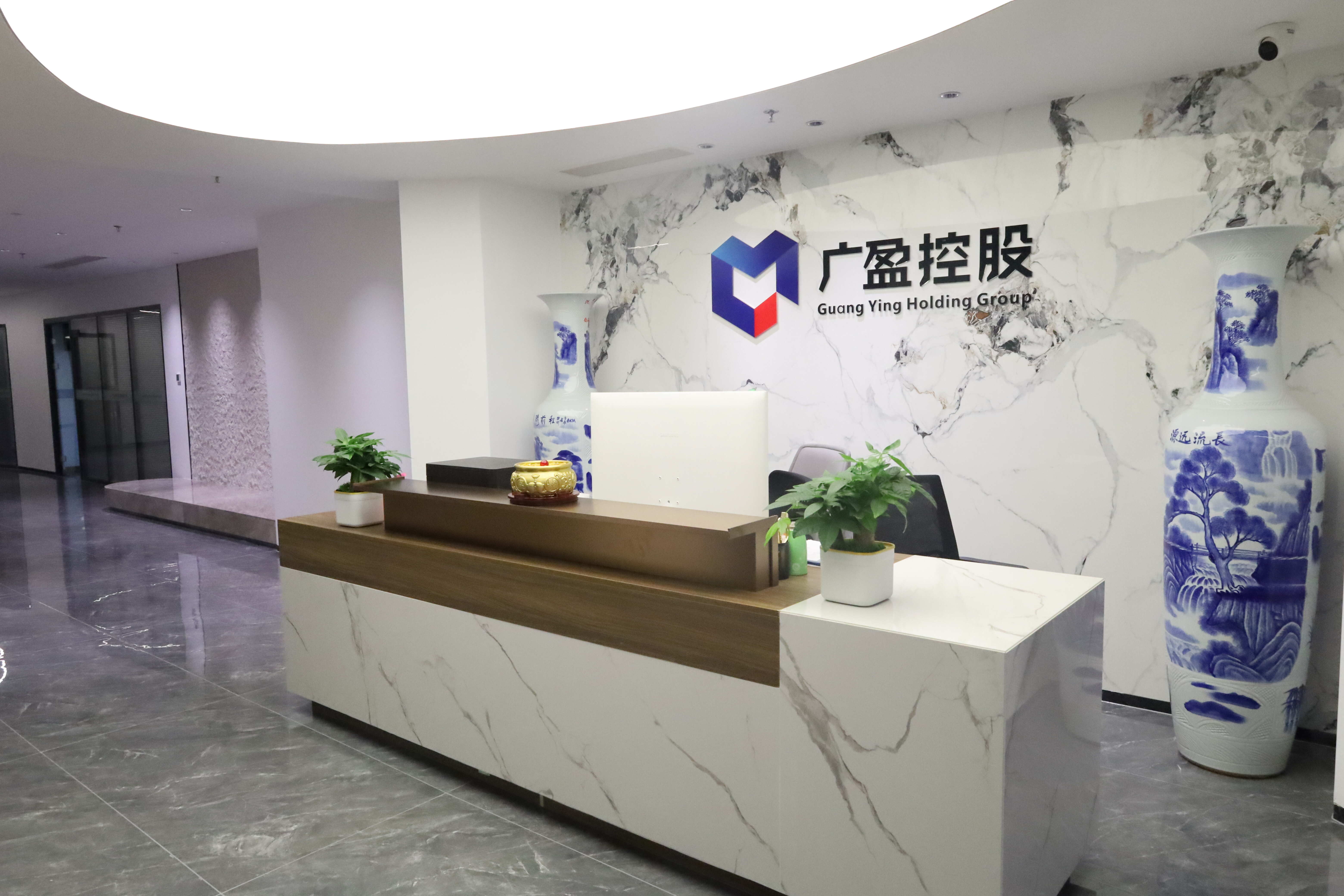 2019年发展历程